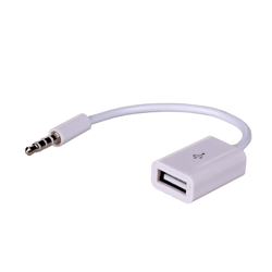 Adapter with cable Akyga AK-AD-24 USB A (f) / mini Jack (m) 15cm